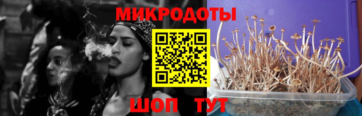 Псилоцибиновые грибы ЛСД  Вход с VPN  Йошкар-Ола 